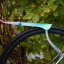 MUDGARD WIN WING ROAD SPEKTRUM ASS SAVER